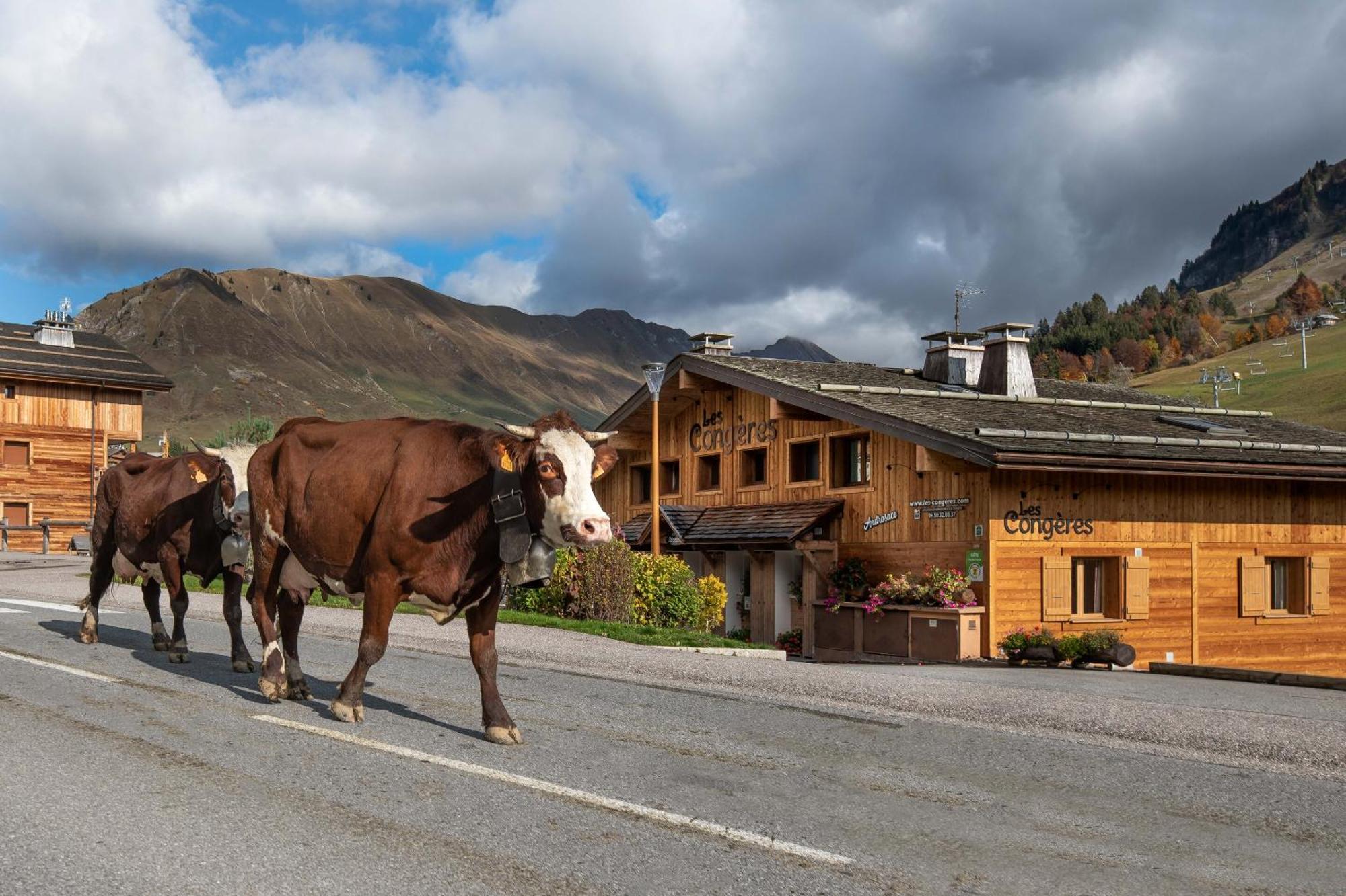Les Congeres Vila Le Grand-Bornand Quarto foto